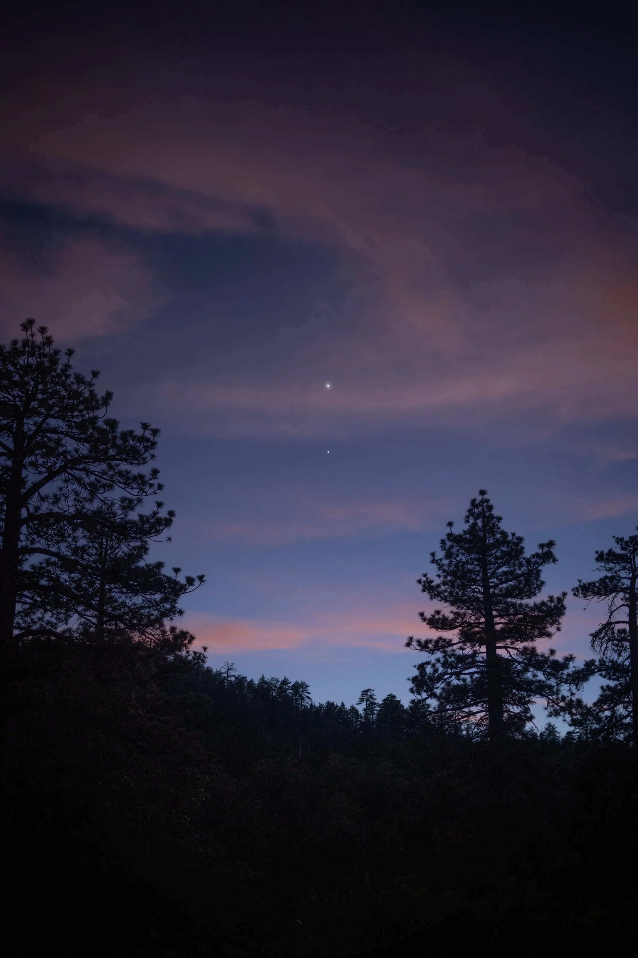 jupitervenus.jpg