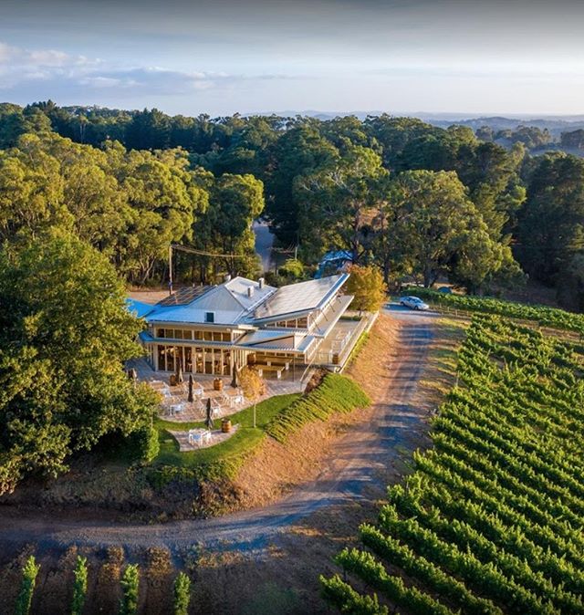 WINE EDIT: Pike &amp; Joyce &lsquo;Vue du Nord&rsquo; Pinot Noir Adelaide Hills, SA // Pike &amp; Joyce is a proud partnership between two families who share a love of the Adelaide Hills, a passion for food and viticulture and a determination to prod
