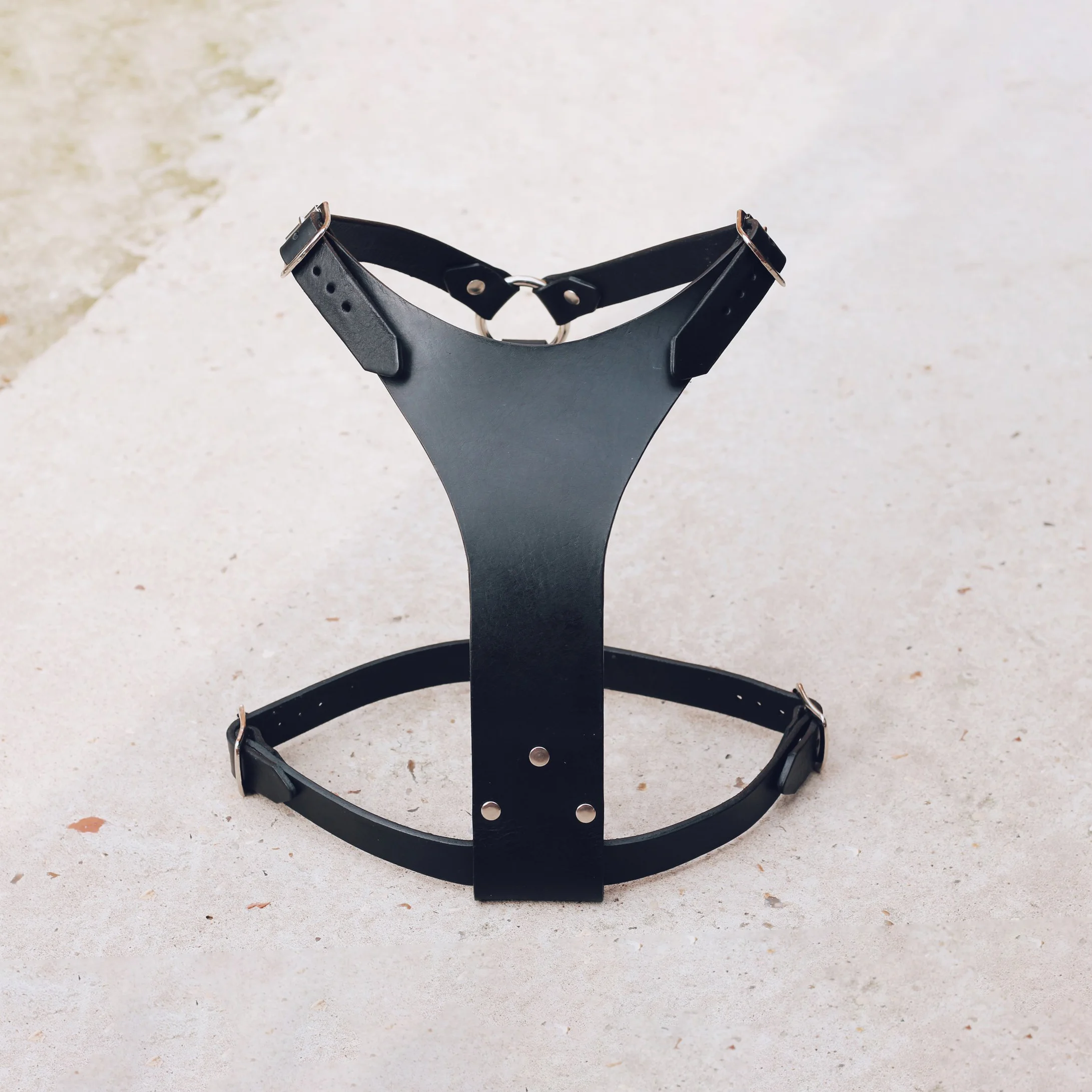 BLACK HARNESS