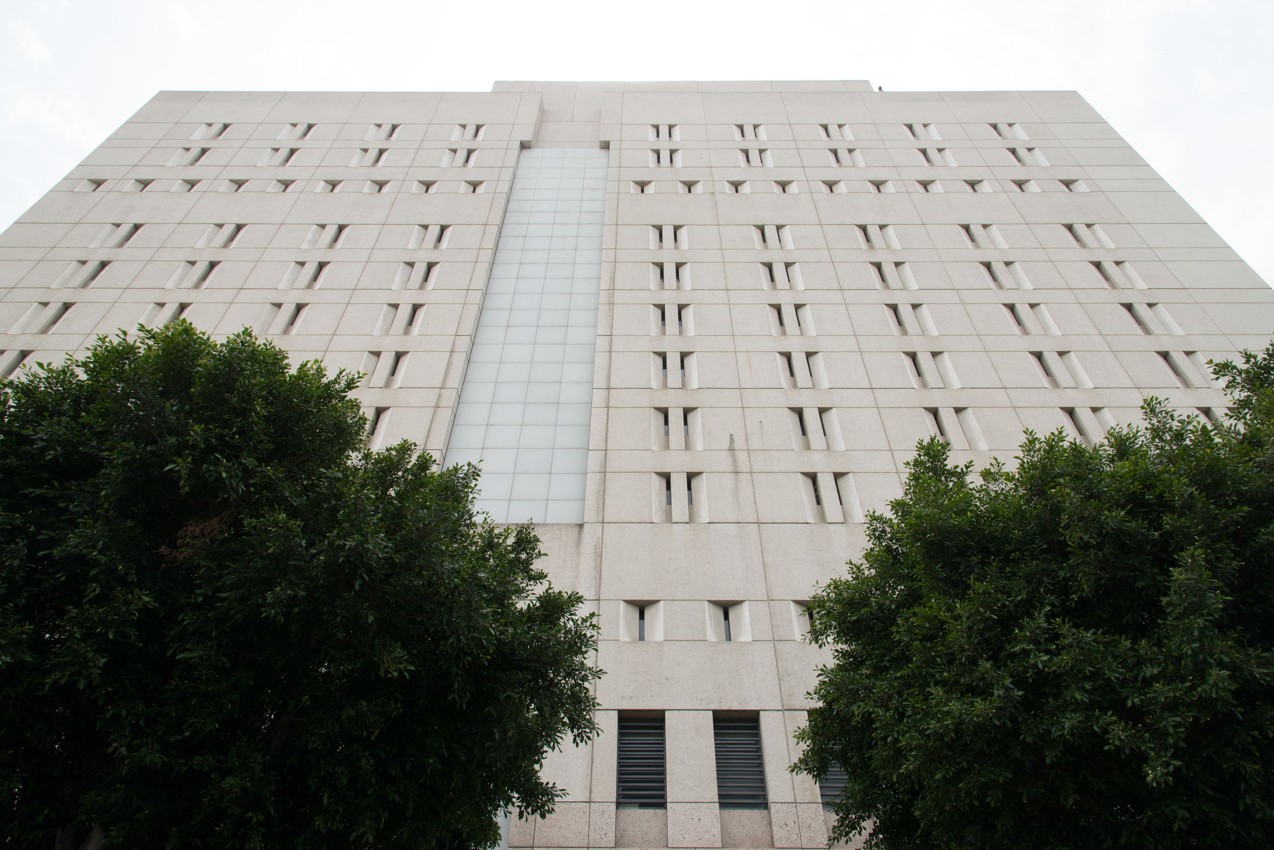 DSC_0031.jpg