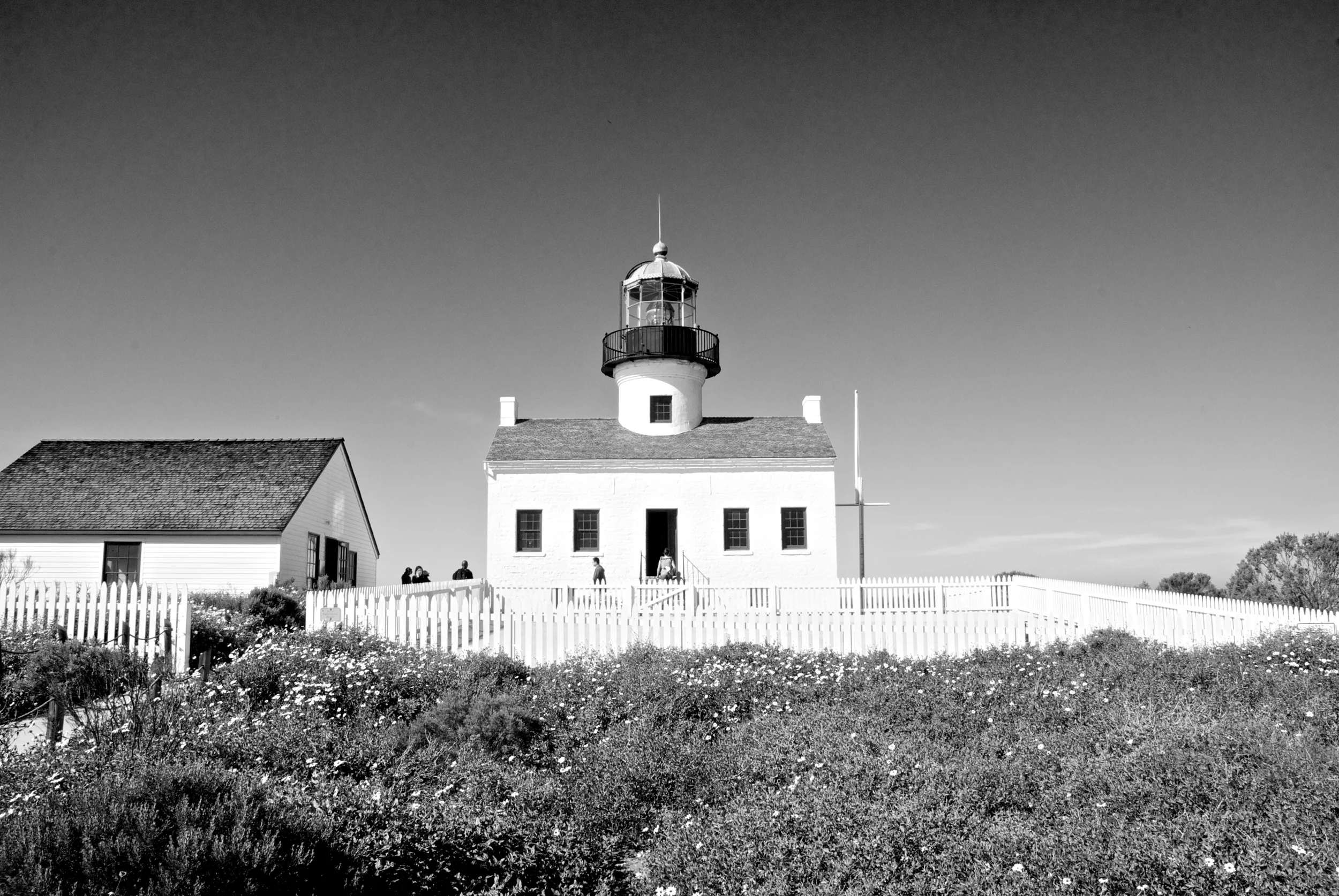 DSC_0044.jpg