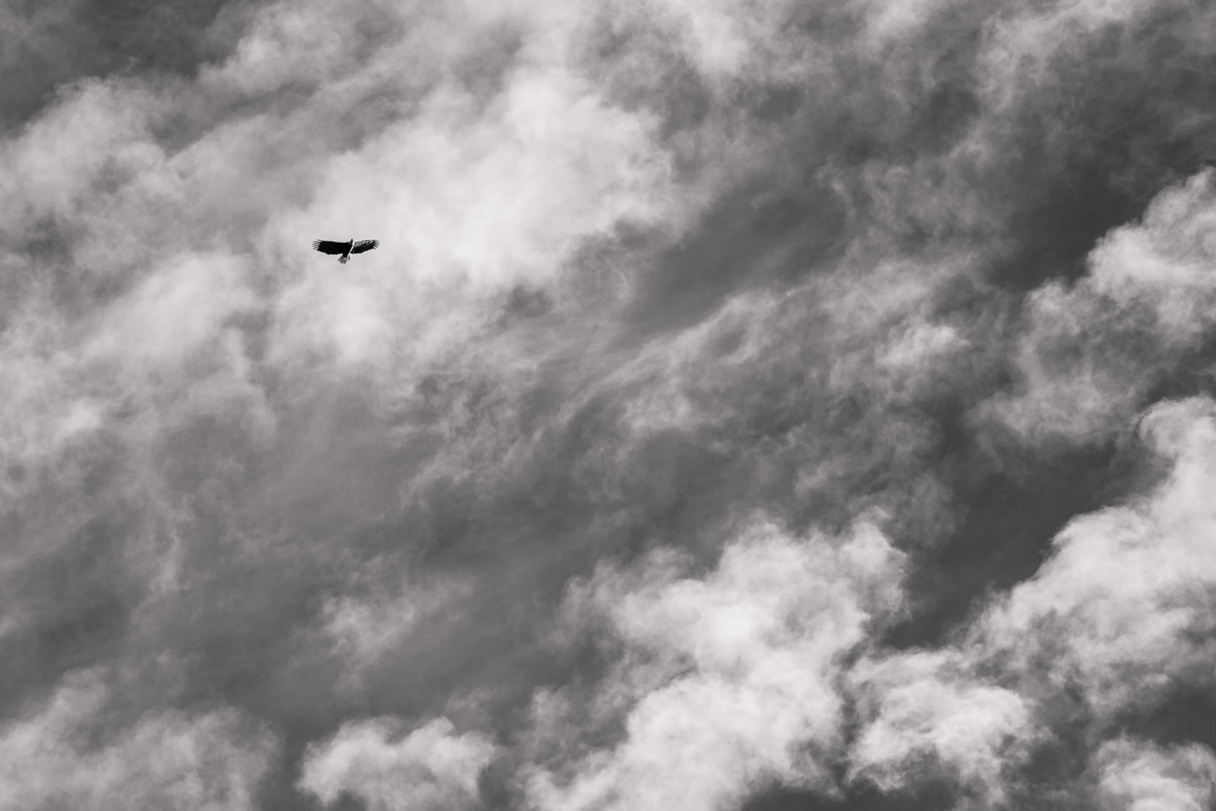 DSC_5411.jpg