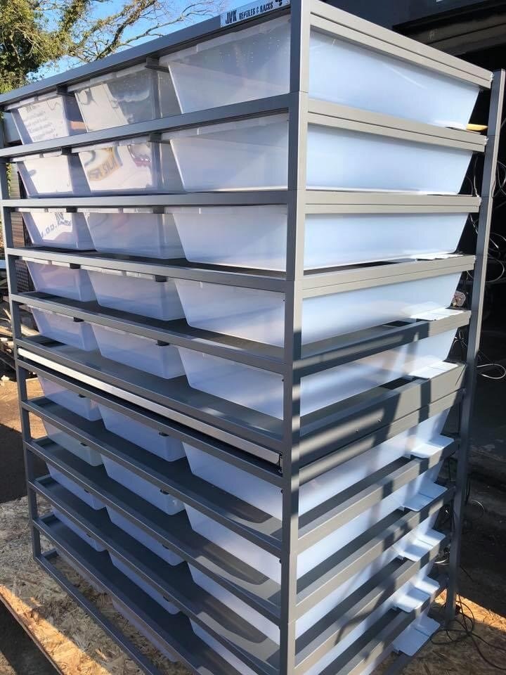 JVK Triple V70/FB70 — JVK Reptiles & Racks