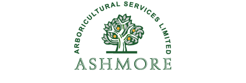 Ashmore Arboricultural Services Limited