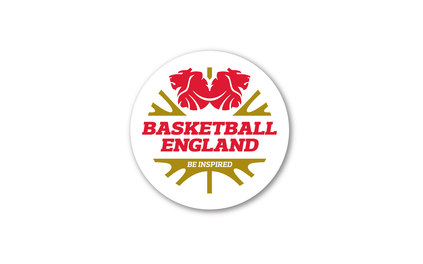 Basketball England Strategic and Performance Planning