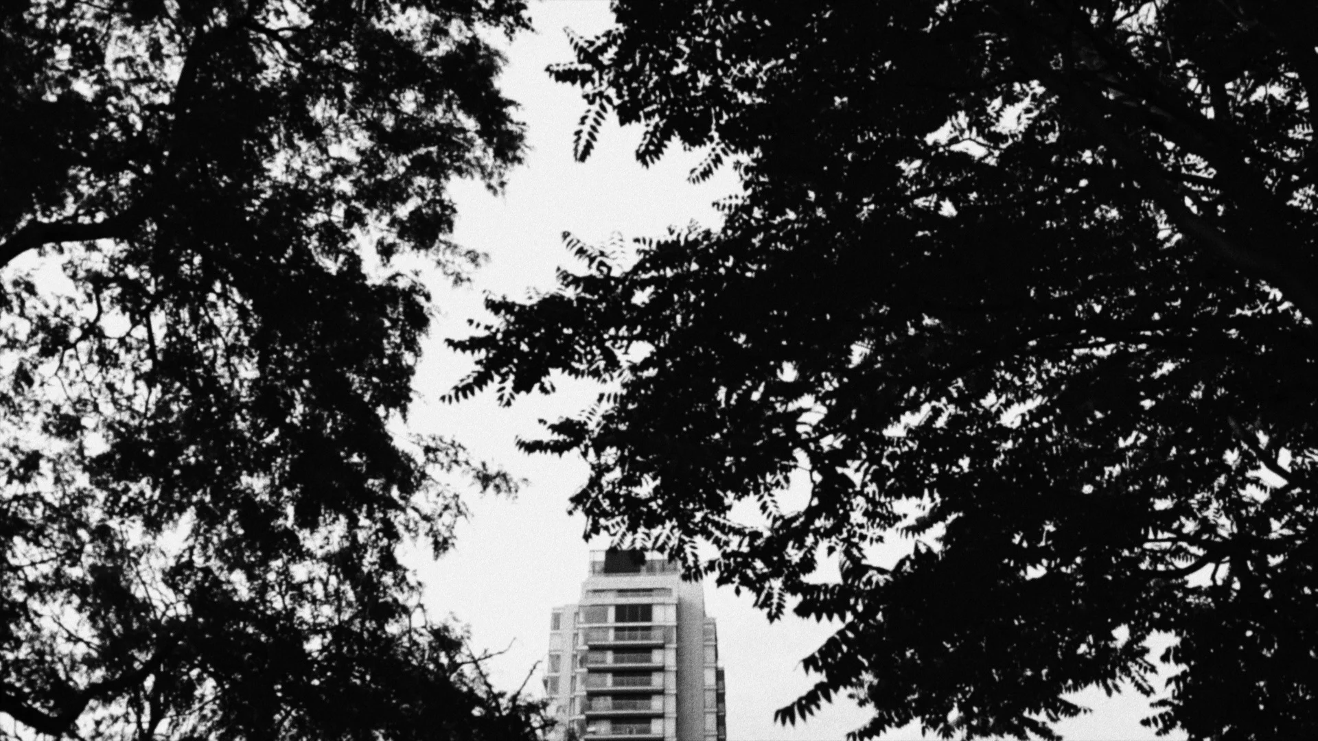 Film:Dance Tutorial 1.Still 1.jpg