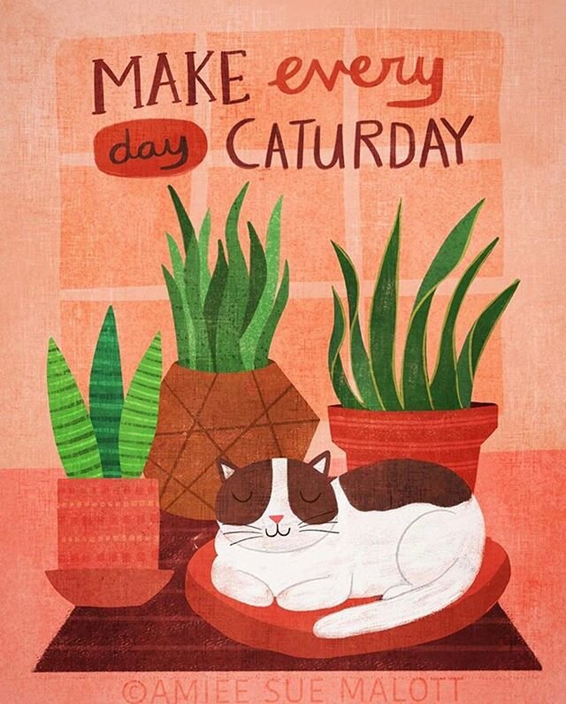 🐱Happy Caturday Everybody! 💗#snakeplant #makingarteveryday #cat #caturday #naps #friendship #relax #lazyday #saturdaymorning #plantsofinstagram #procreateart #cuteillustration #wallart #greetingcarddesign #surfacedesign #digitalart #showyourwork #i