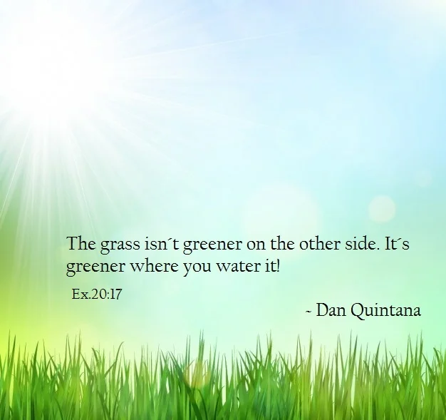 green grass1.jpg
