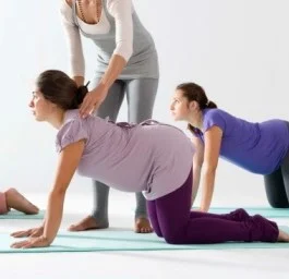 in-person-prenatal-yoga-teacher-training.jpeg