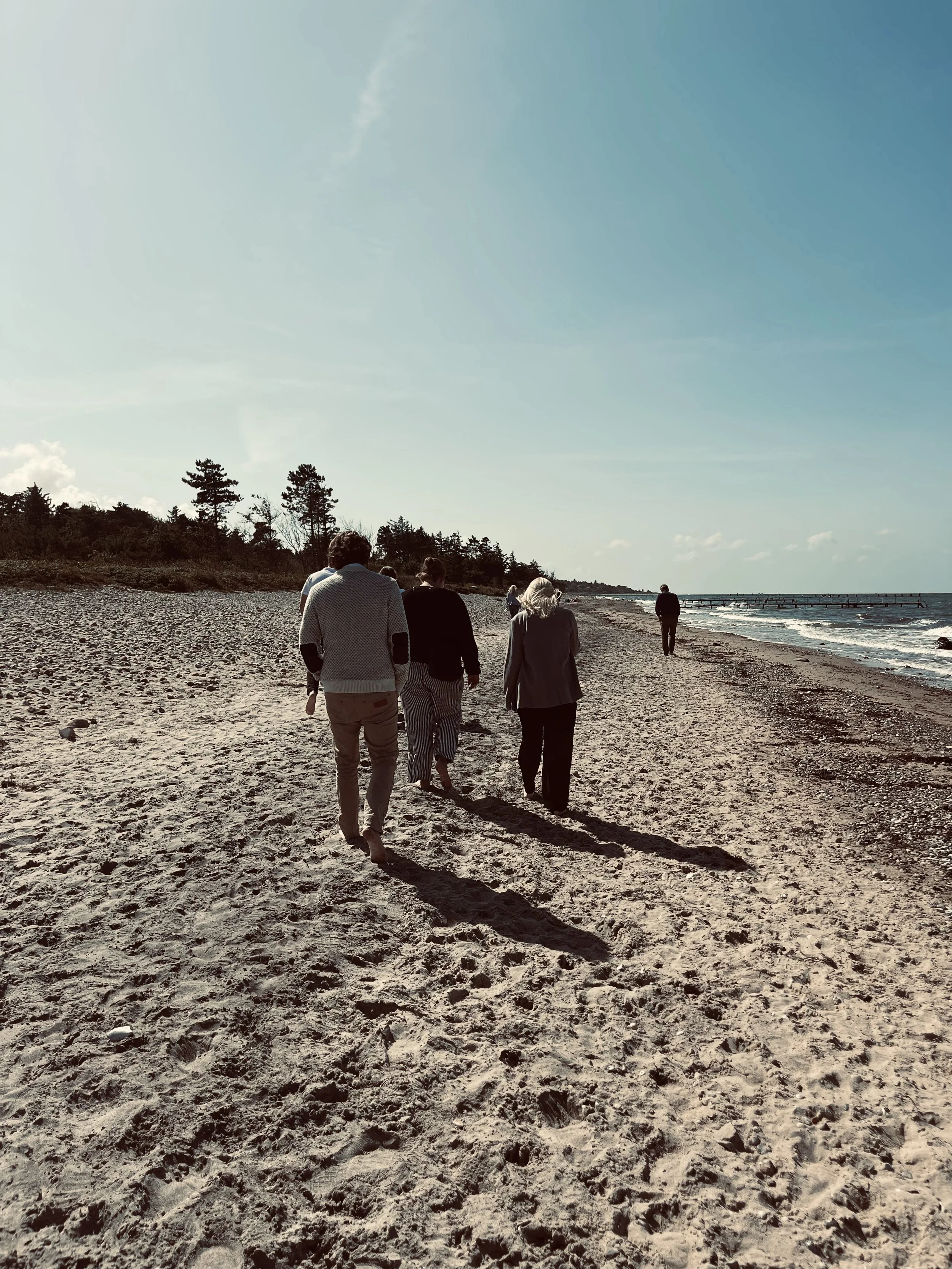 A group of leaders walking on the beach contemplating life.
