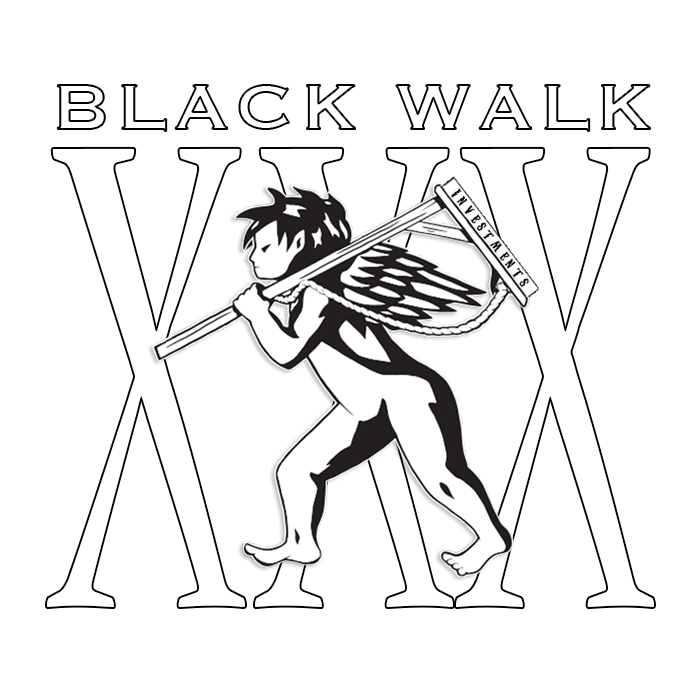 BLACK WALK INVESTMENTS INC