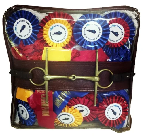 ribbon pillow front.jpg