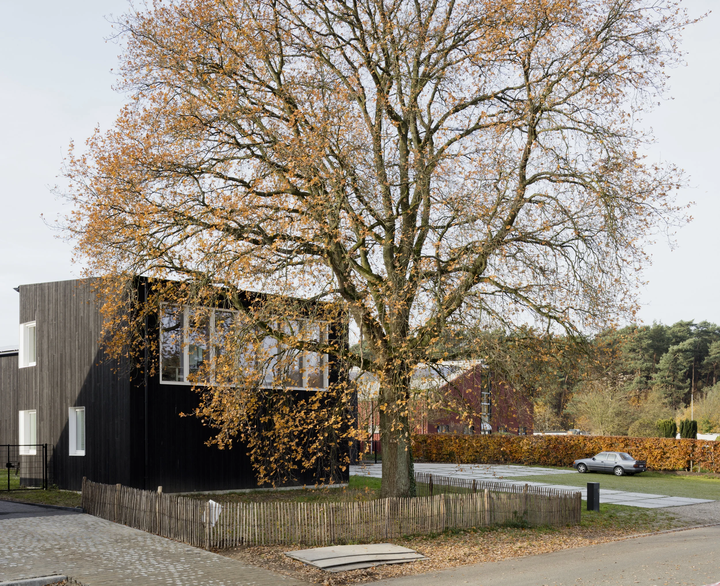 mdc_vik_anb_026_HR.jpg