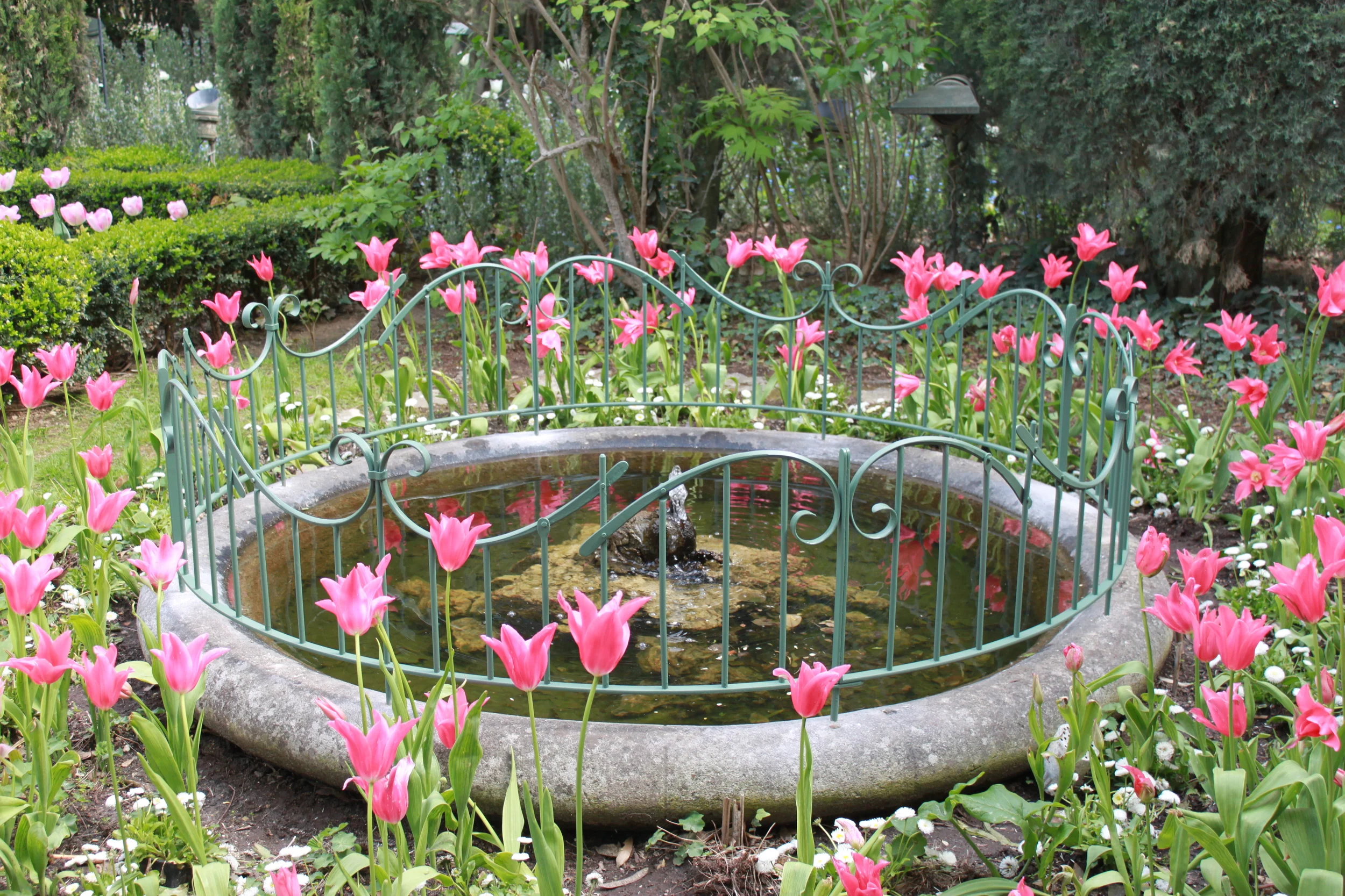 Fountain suround.JPG