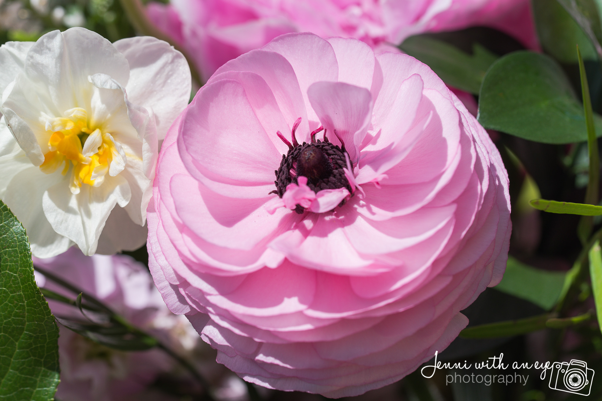 20180514-Lucky-Finn_5428.jpg