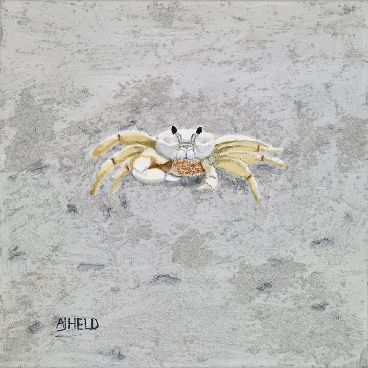 CRAB (10x10)