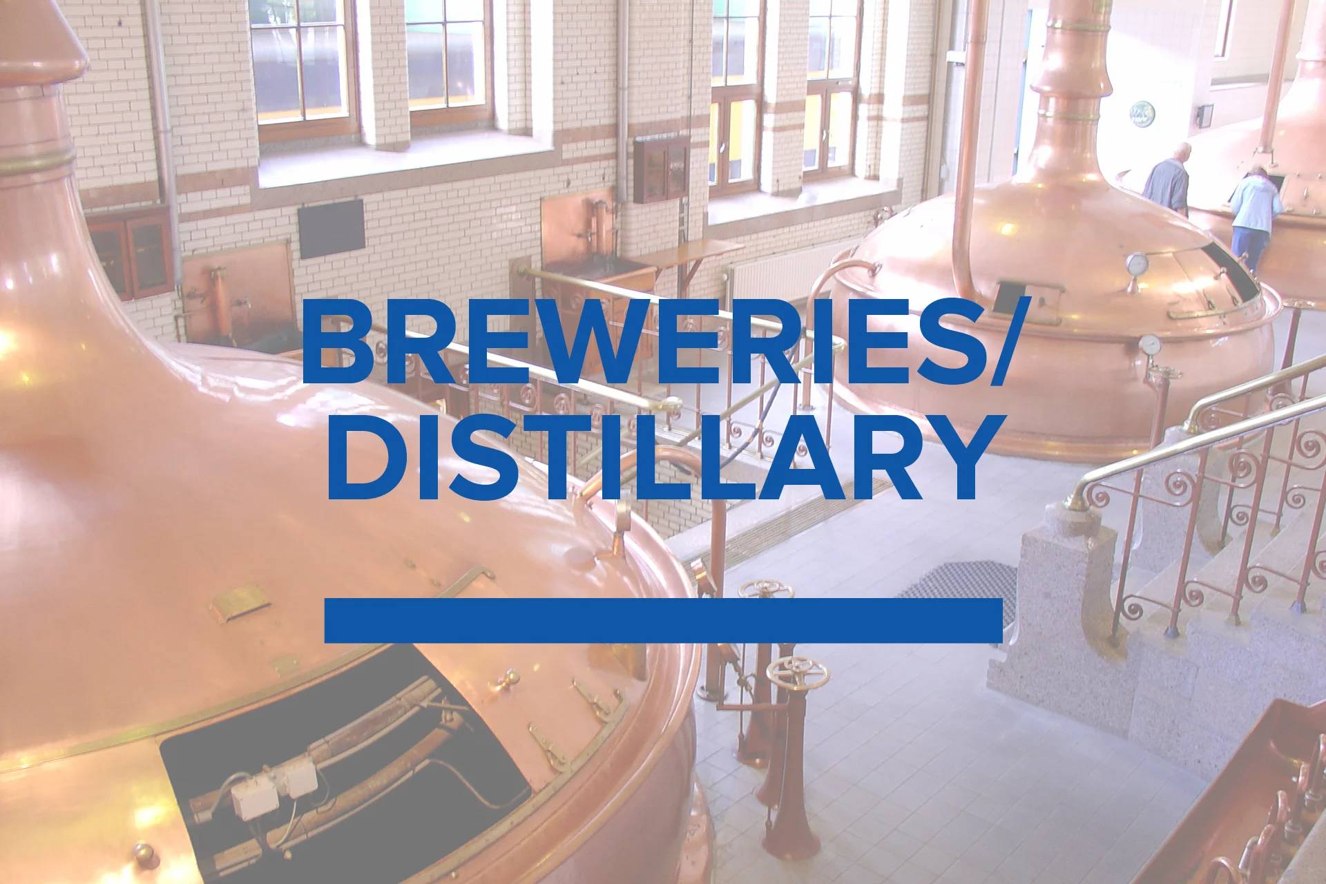 /specialty-programs#brew