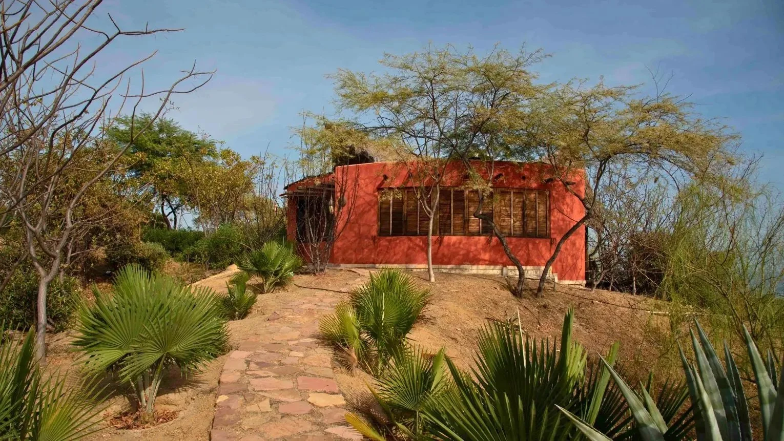 Image 2-19-24 at 8.05 PM.jpeg