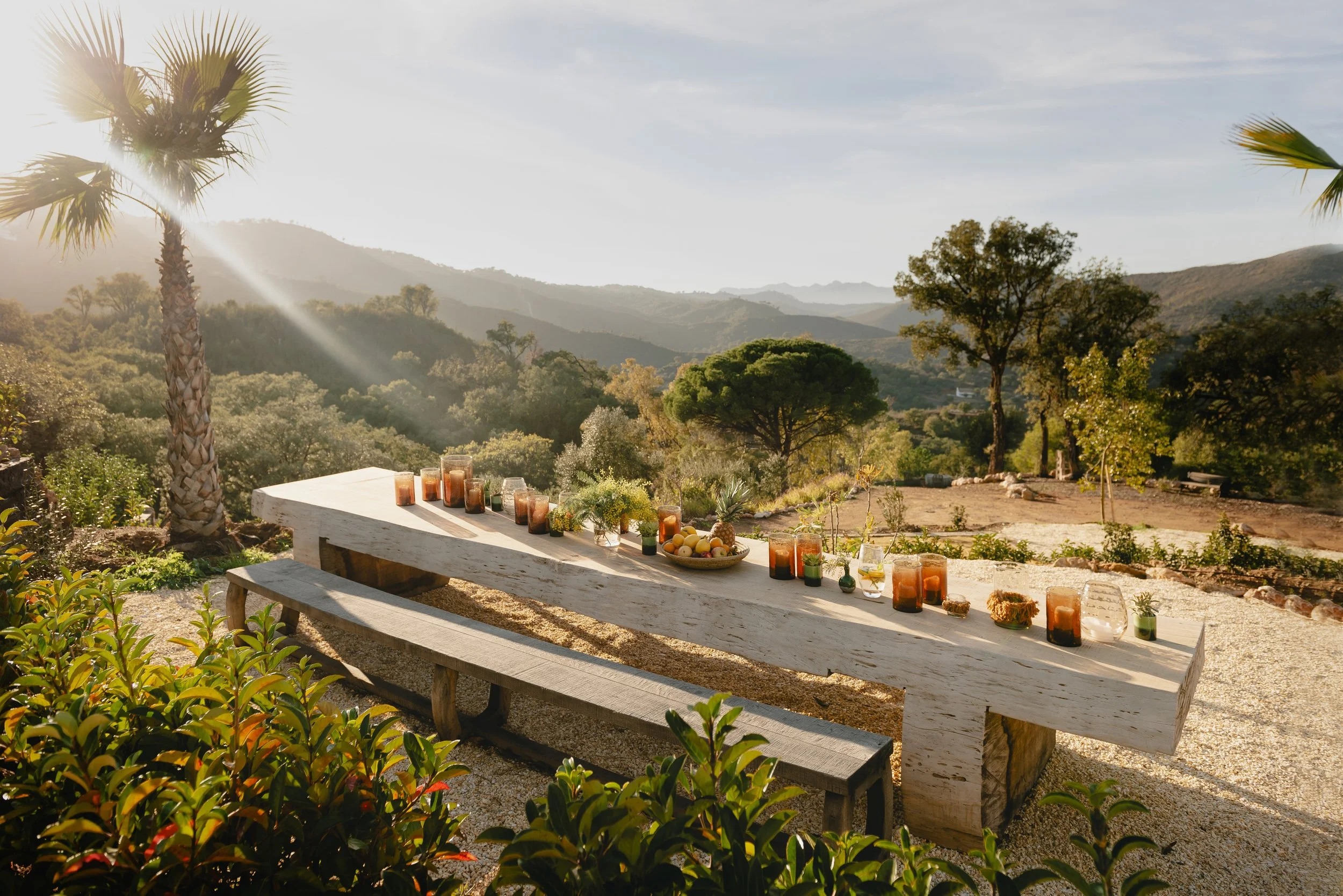 Viluz Baobab table (1).jpeg