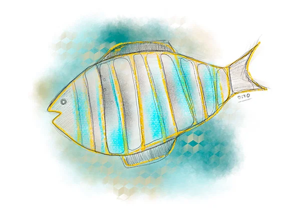 Seychelles local