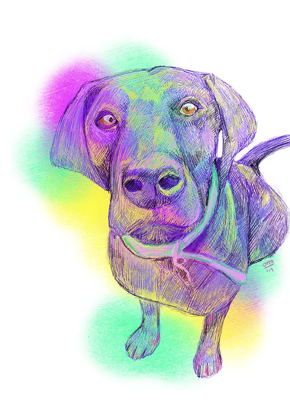 Nandi