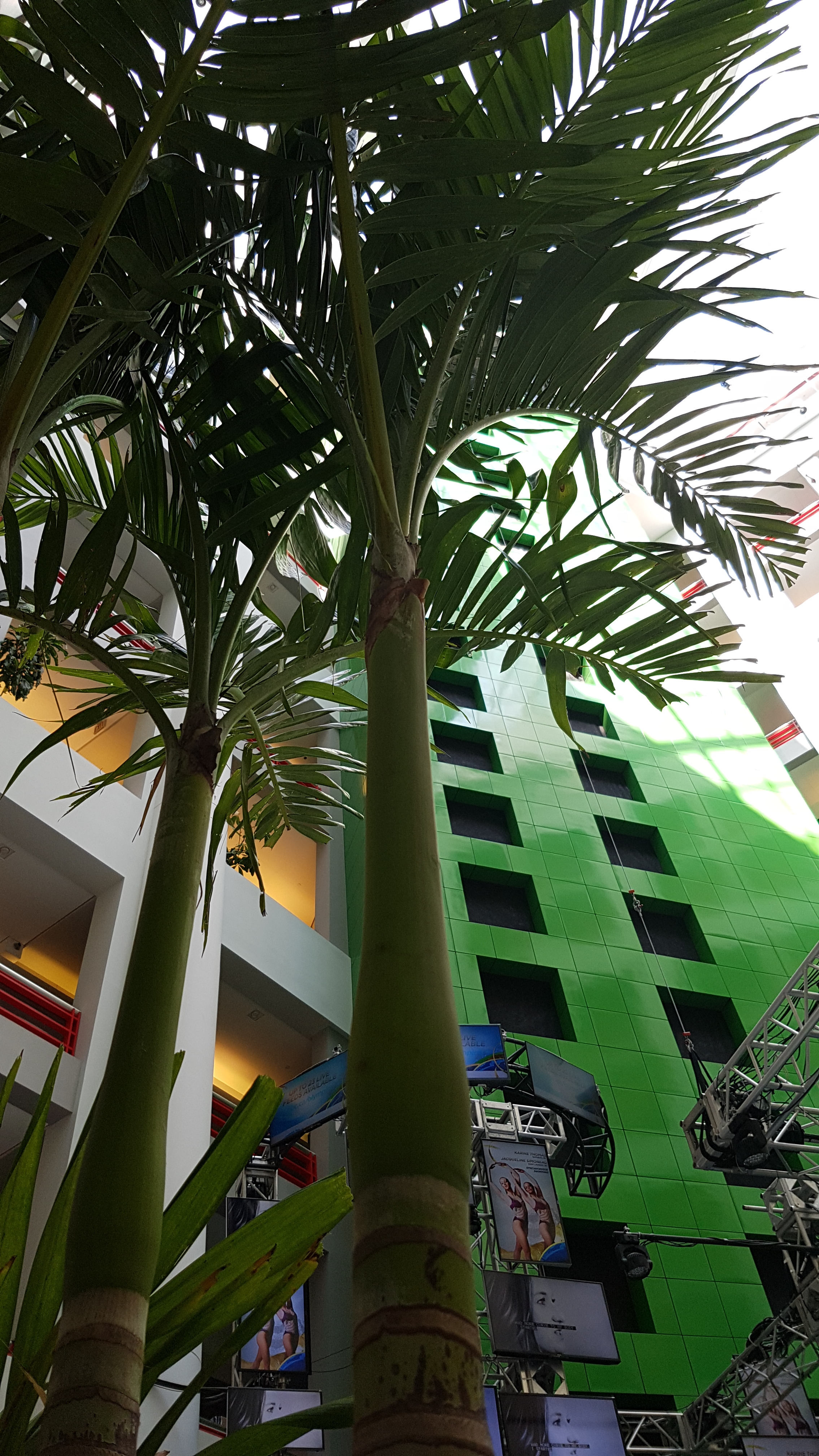20160806_105759.jpg