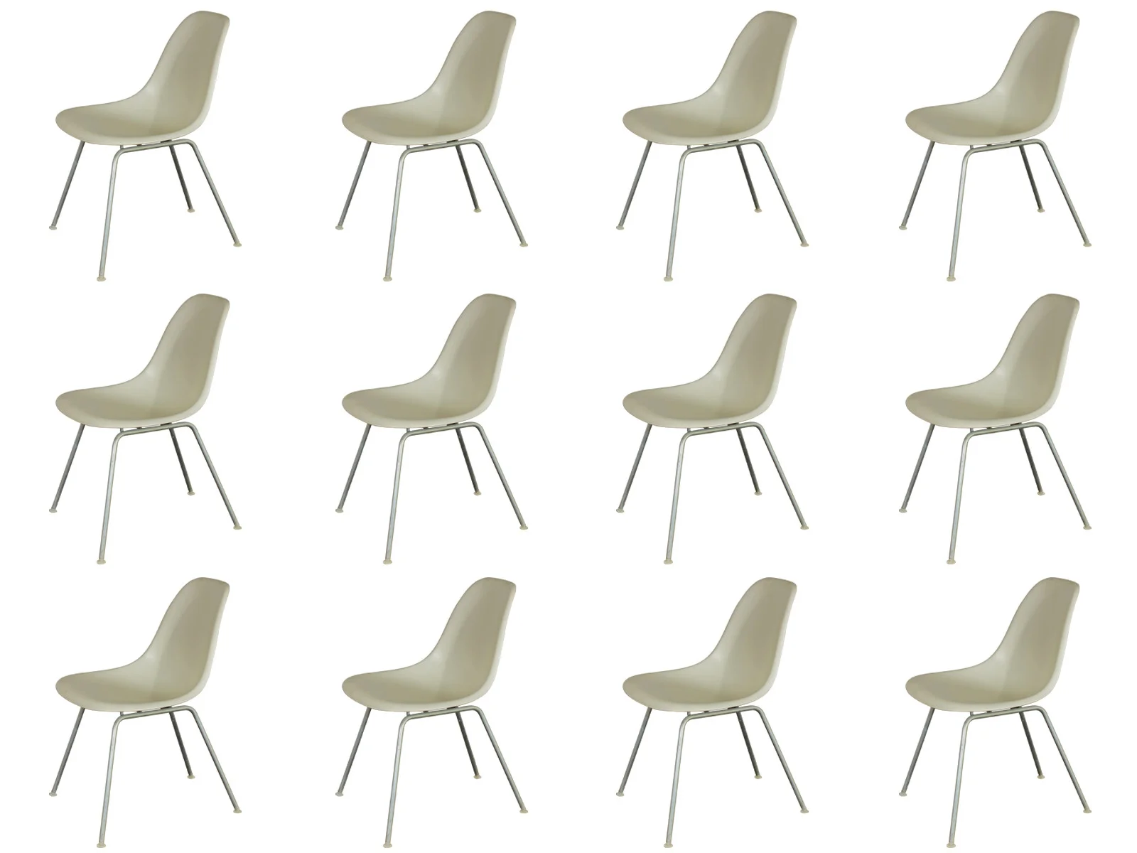 white_shells_collage.jpg