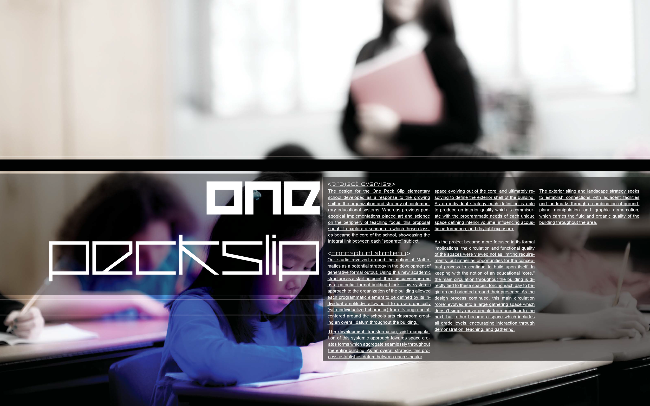 DipSet_project overview.png