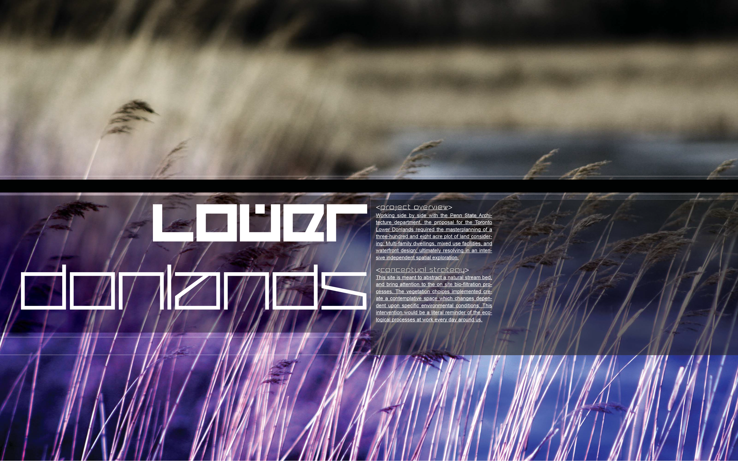 project overview.png