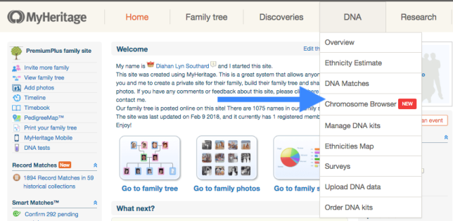 MyHeritage chromosome browser Navigate Group.png