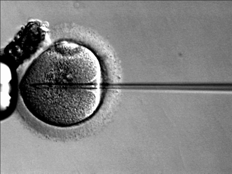 The first successful in vitro fertilization took place in 1978, - giving hope to families who were currently unable to have children.