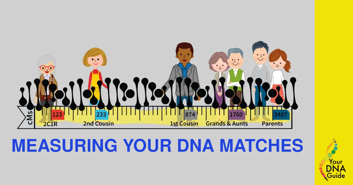 shared centimorgans measuring dna matches.jpg