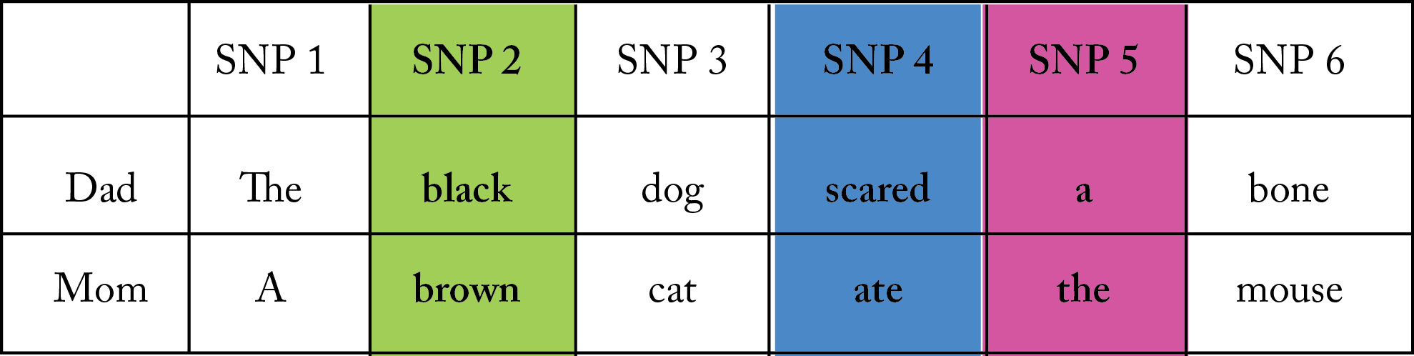 DNA-phasing-incorrect.png