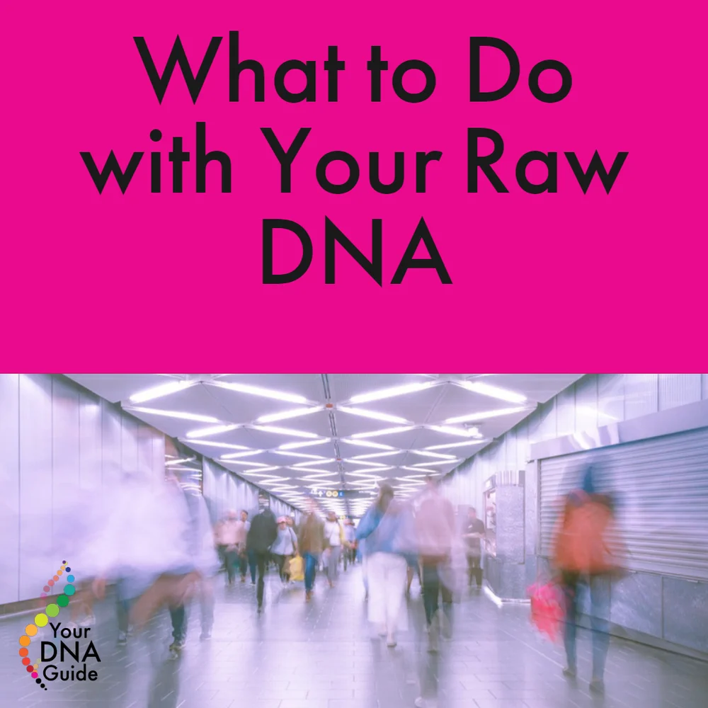 your dna guide