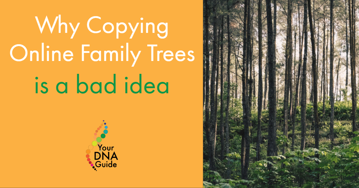 copying online trees (1).png