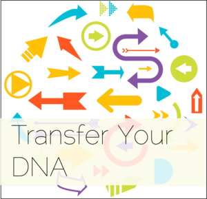 transfer your DNA 11.png