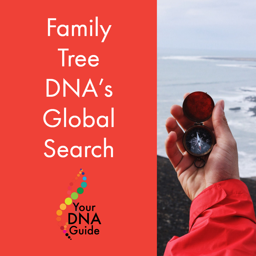 your dna guide