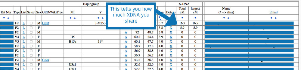 what is XDNA? GEDmatch table showing XDNA matches