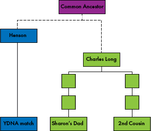 YDNA charles long DNA tree.png