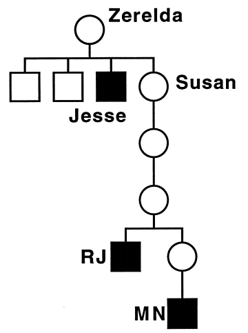 Jesse James DNA tree mtDNA.png