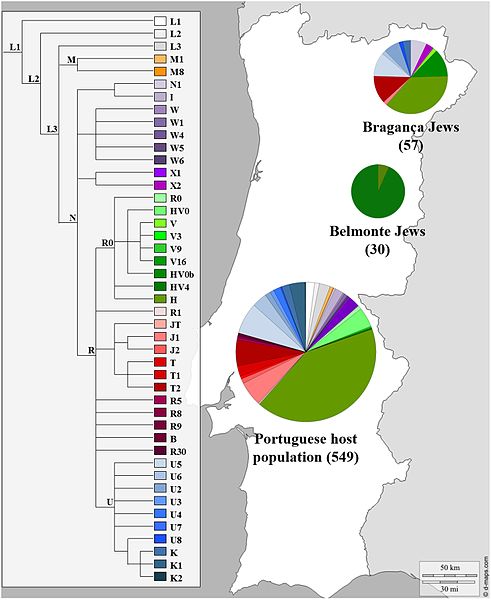 Mitochondrial (mtDNA) haplogroup distributions of the Portuguese Sephardic Jews and non-Jewish population. Sectors in pie charts are proportional to haplogroup frequency. Number of total individuals (n) are in brackets for each population. Click on …