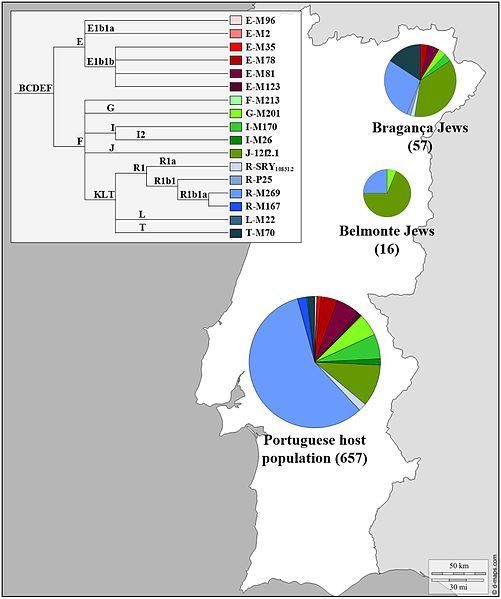 Y Chromosome haplogroup distributions of the Portuguese Sephardic Jews and non-Jewish population. Sectors in pie charts are proportional to haplogroup frequency. Number of total individuals (n) are in brackets for each population. Click on image to …