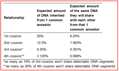 your dna guide