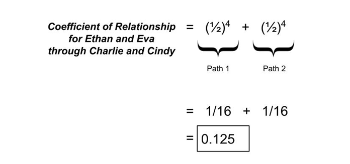 pedigree collapse dna testing genetic relationships 94.png