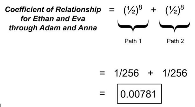 pedigree collapse dna testing genetic relationships 991.png