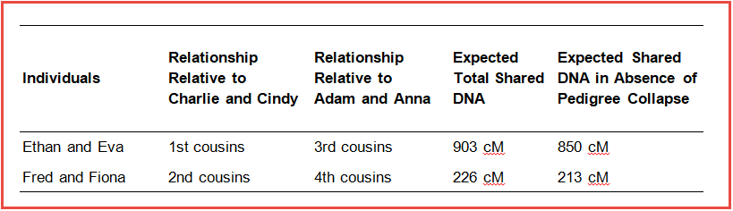 pedigree collapse dna testing genetic relationships 994.png