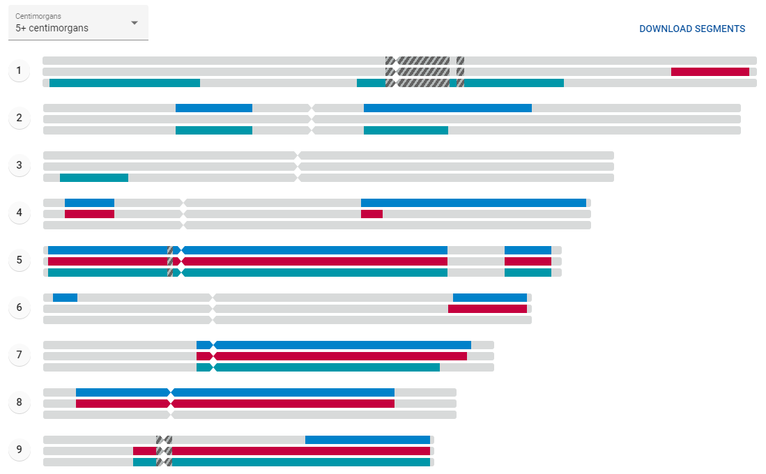 chromosome browser FTDNA.png