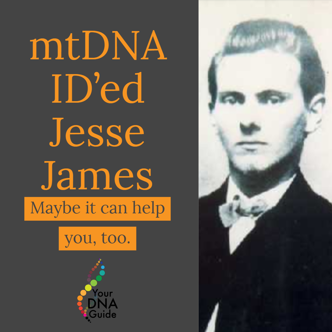 why do mtdna results vary survey says