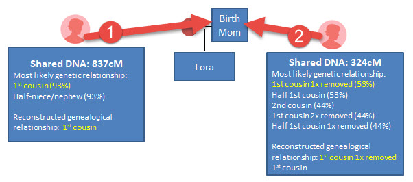 shared DNA genetic matches birth parent triangulate AncestryDNA.jpg
