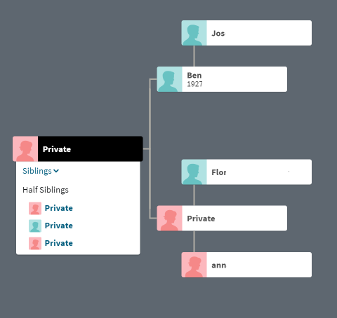 unlinked tree AncestryDNA match public tree.png